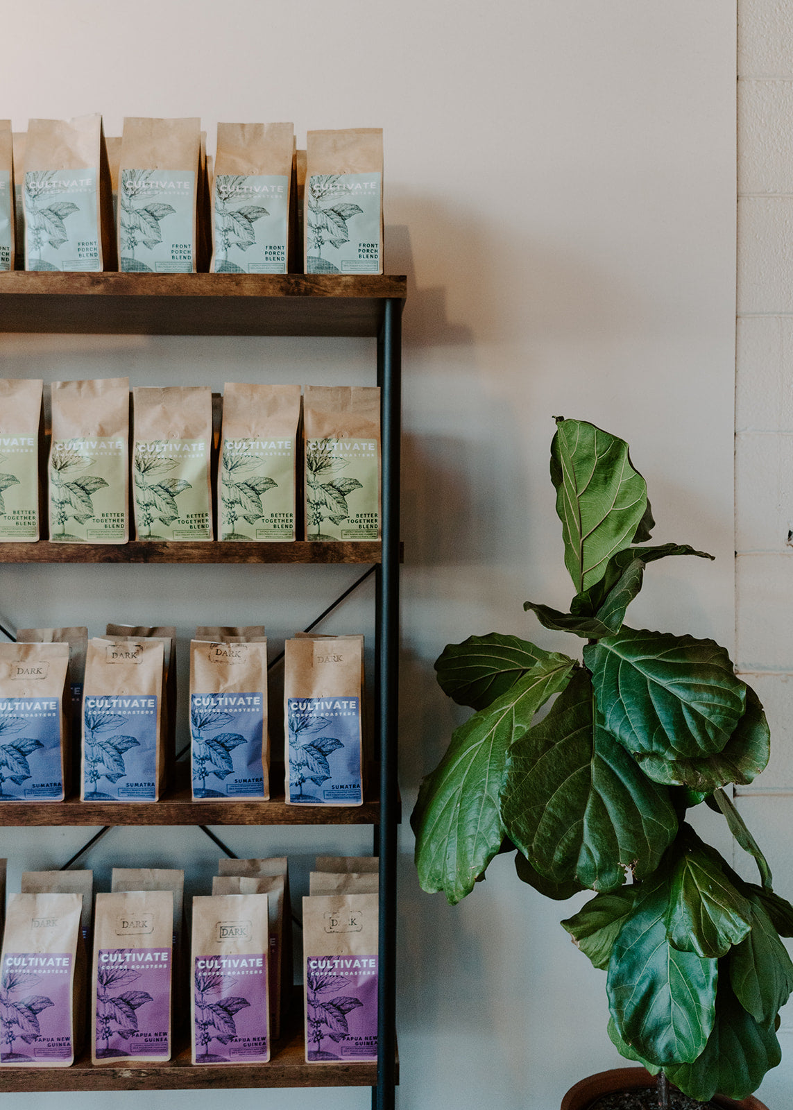 Coffee Boxes